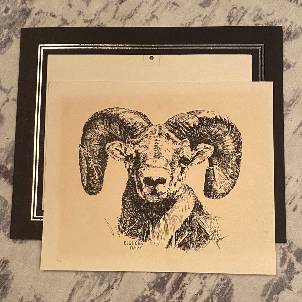 Steve Carter - artist, Bighorn Ram Art - Black and Cream